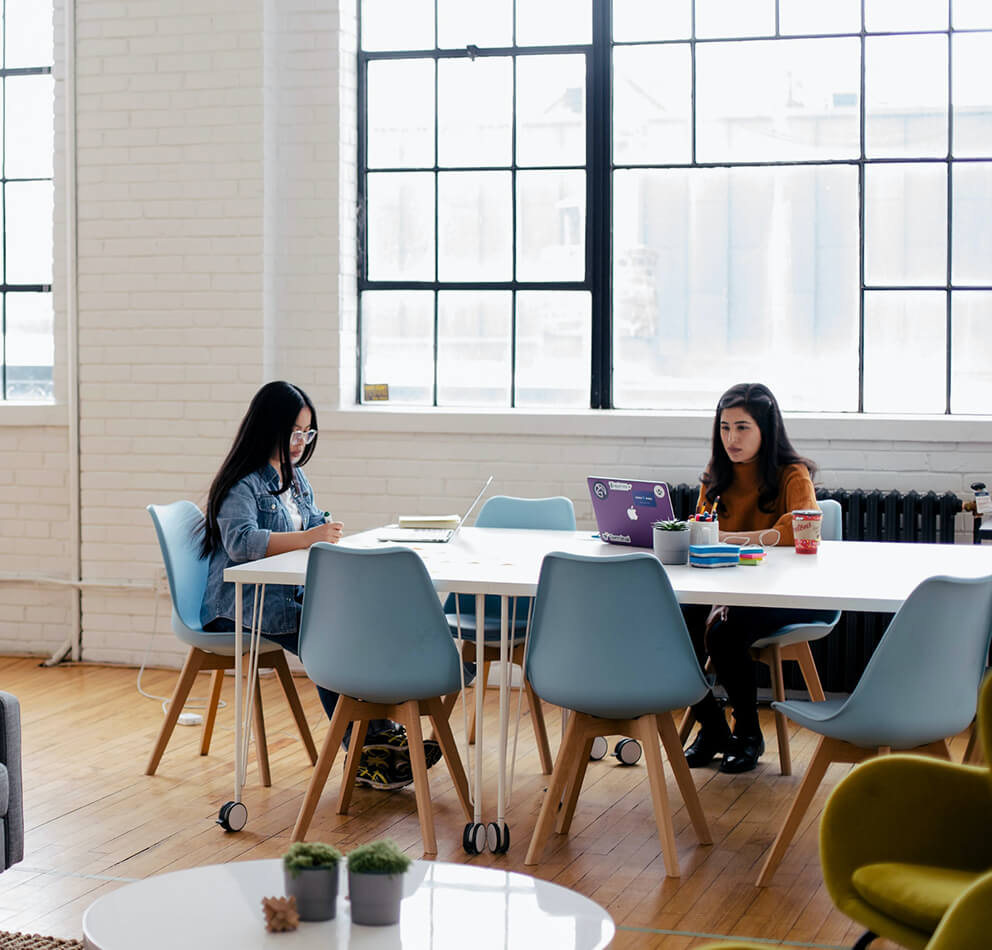Dolphin CMS Team Workspace